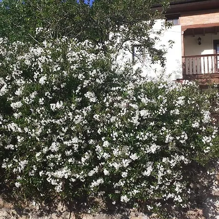 Impeccable 3-Bed House In Cangas De Onis Onís