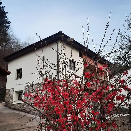 Ferienhaus Impeccable 3-Bed House In Cangas De Onis